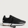 HOFF Track & Field | TANAGRA